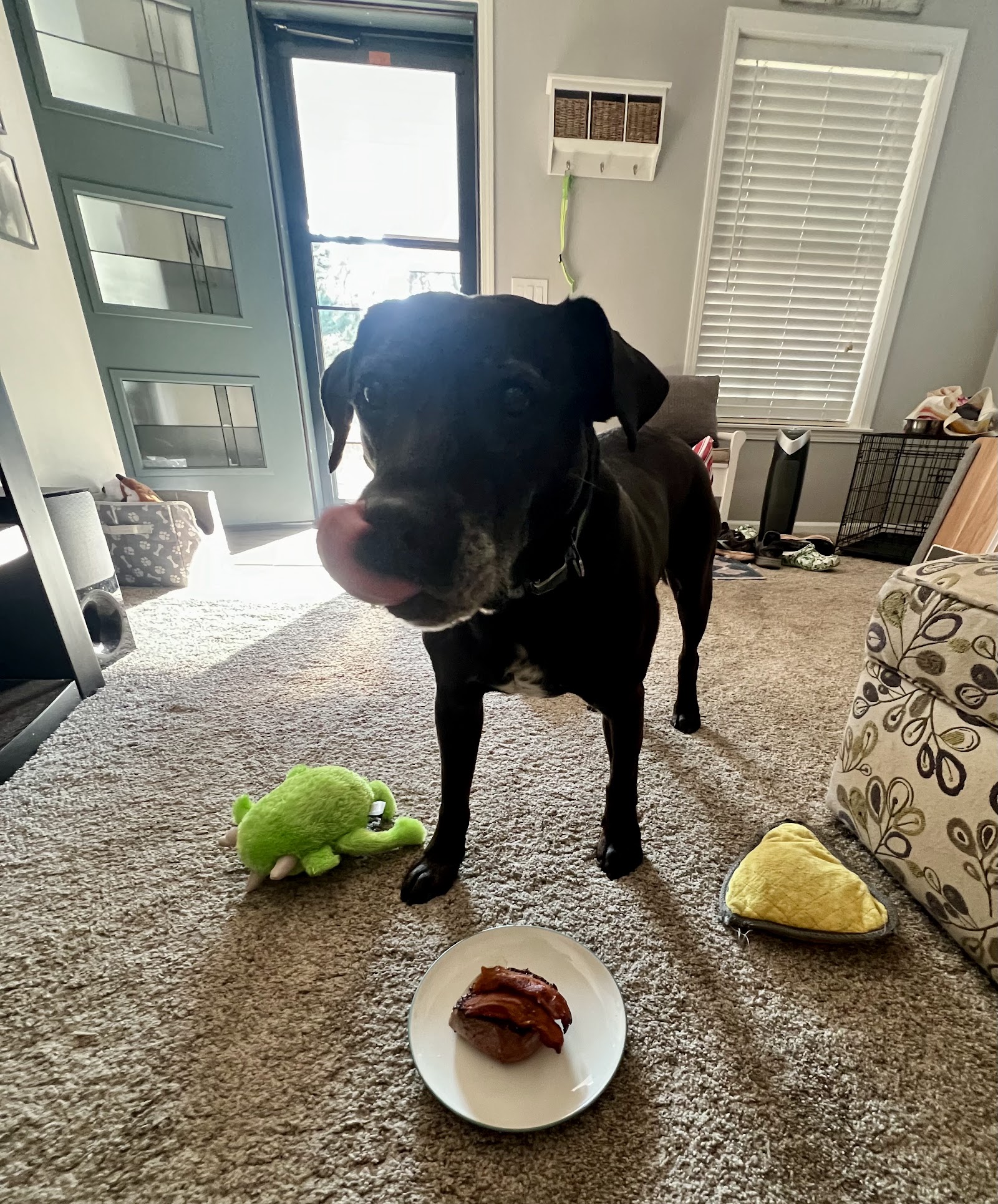 Crossroads Veterinary Hospice — photo