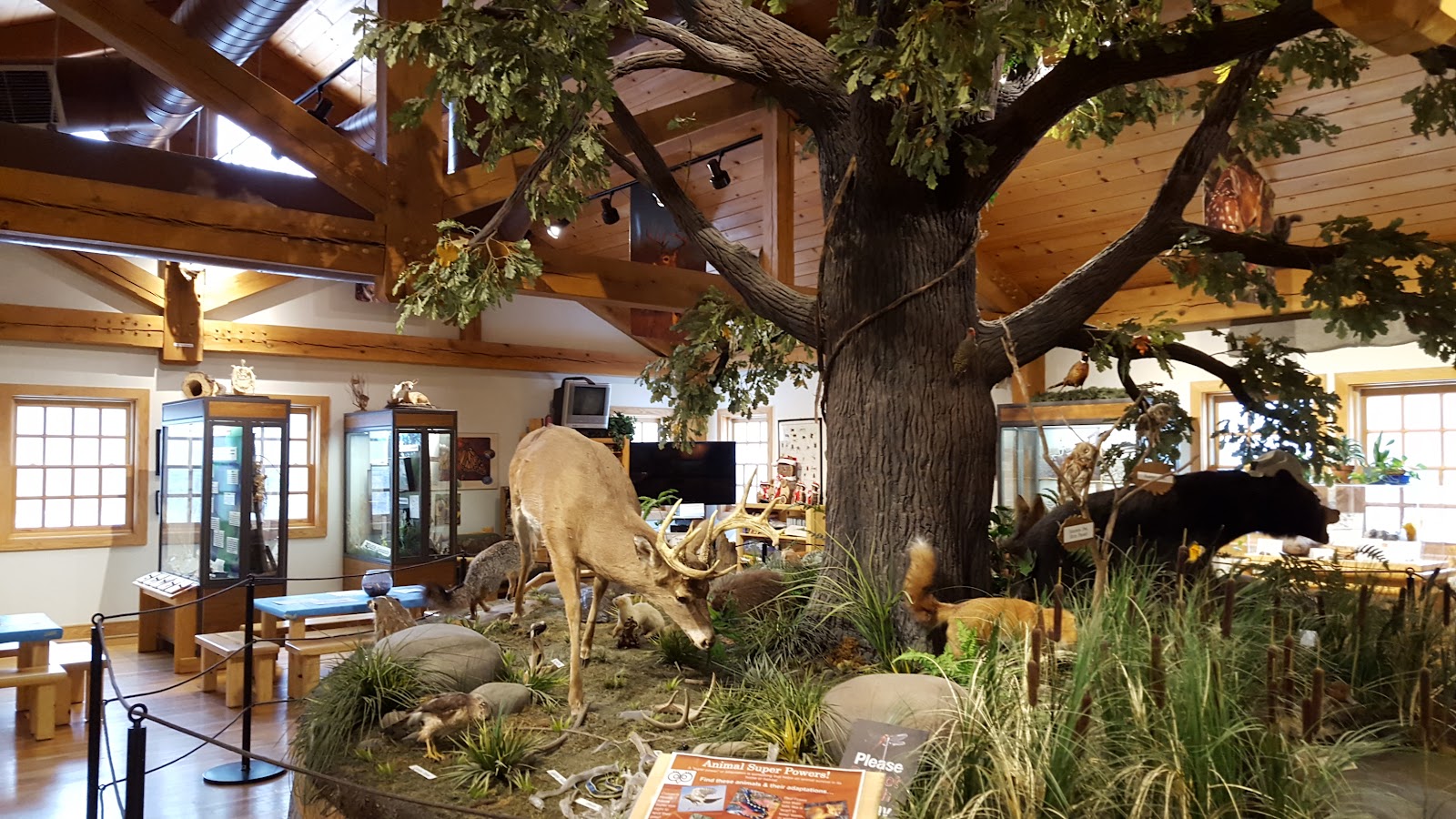 Farmington Hills Nature Center in Farmington Hills