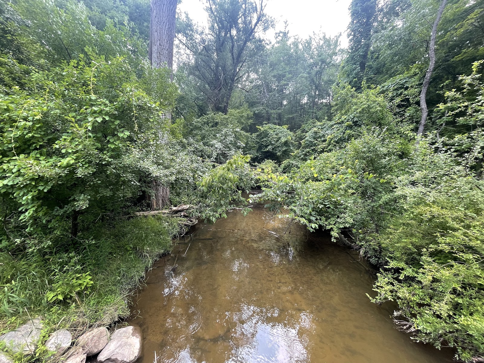The Trail bridge in Farmington Hills